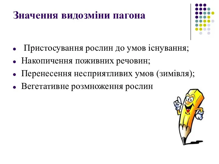 Значення видозміни пагона Пристосування рослин до умов існування; Накопичення поживних