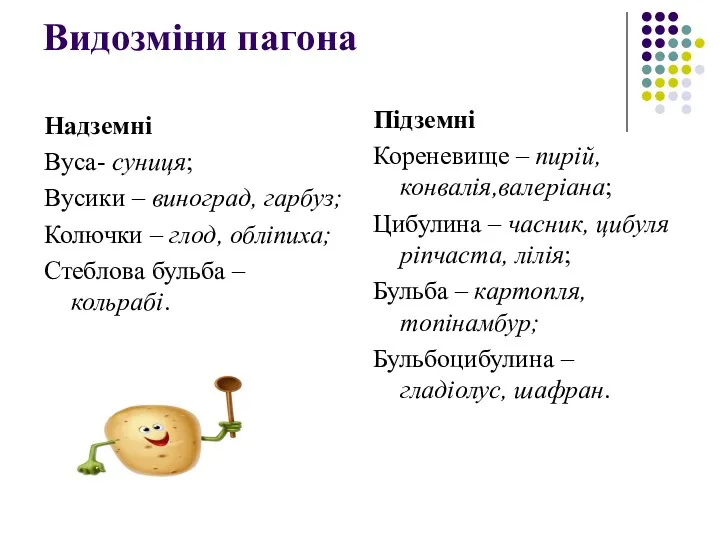 Видозміни пагона Надземні Вуса- суниця; Вусики – виноград, гарбуз; Колючки