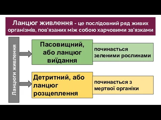 Ланцюг живлення - це послідовний ряд живих організмів, пов'язаних між