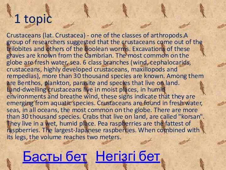 Басты бет Crustaceans (lat. Crustacea) - one of the classes