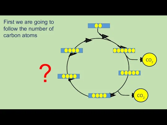 First we are going to follow the number of carbon atoms CO2 CO2 ?