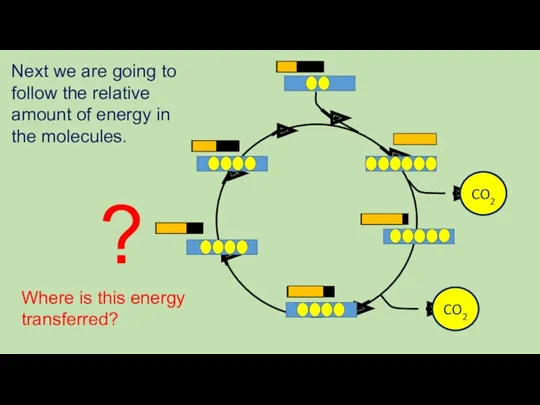 Next we are going to follow the relative amount of