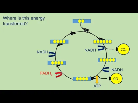 Where is this energy transferred? CO2 CO2