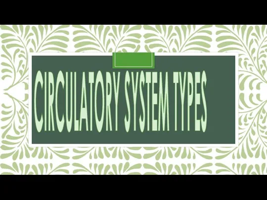 CIRCULATORY SYSTEM TYPES