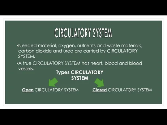 CIRCULATORY SYSTEM Needed material, oxygen, nutrients and waste materials, carbon