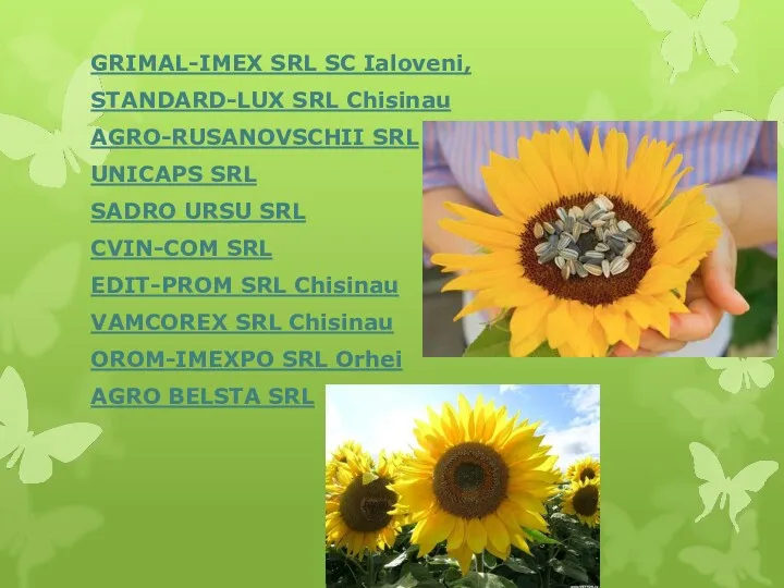 GRIMAL-IMEX SRL SC Ialoveni, STANDARD-LUX SRL Chisinau AGRO-RUSANOVSCHII SRL UNICAPS