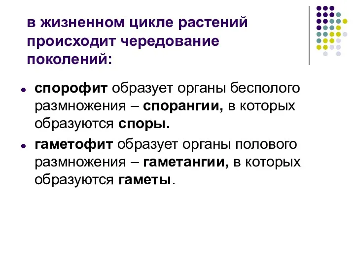 спорофит образует органы бесполого размножения – спорангии, в которых образуются споры. гаметофит образует