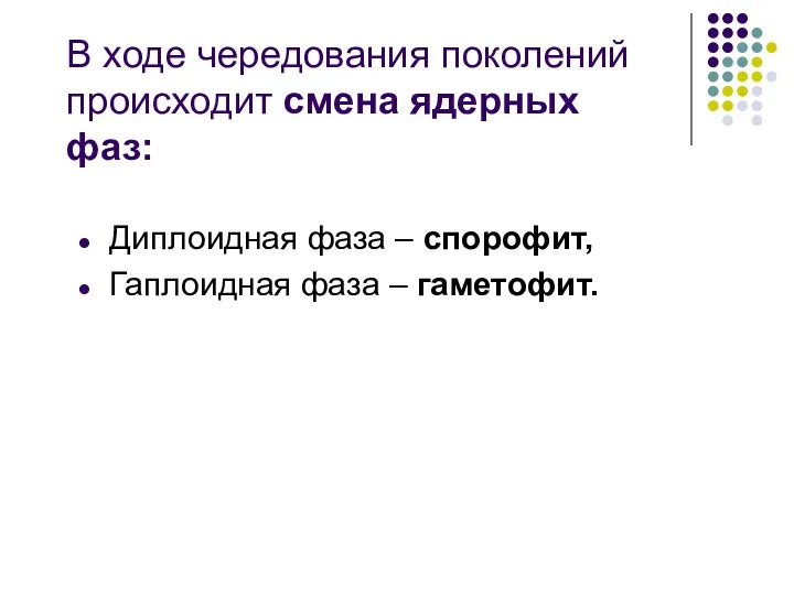 Диплоидная фаза – спорофит, Гаплоидная фаза – гаметофит. В ходе чередования поколений происходит смена ядерных фаз: