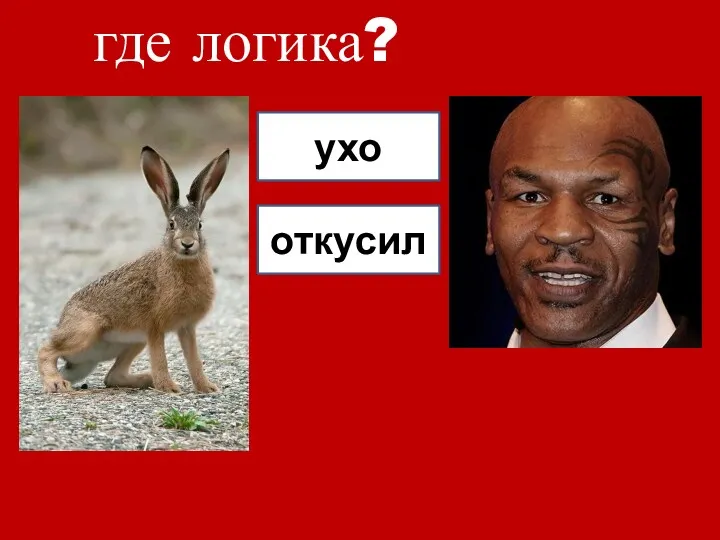 где логика? ухо откусил