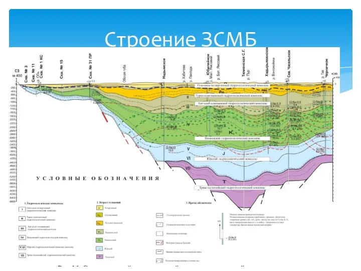 Строение ЗСМБ