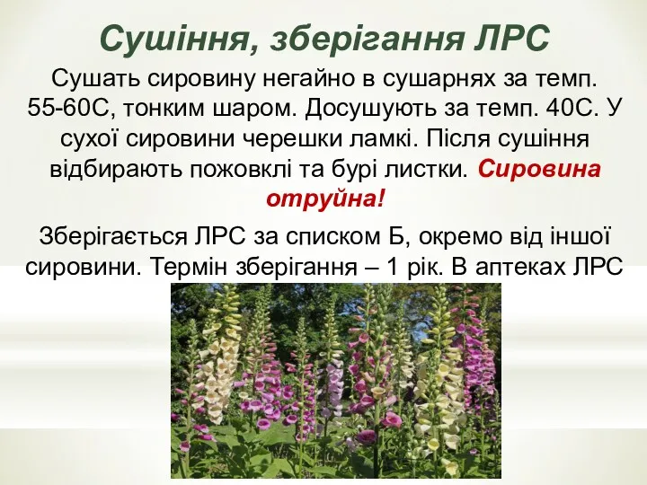 Сушiння, зберiгання ЛРС Сушать сировину негайно в сушарнях за темп.