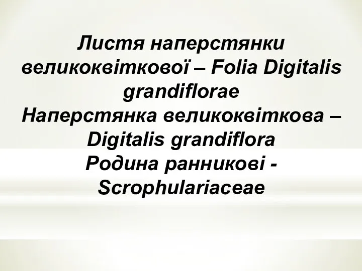 Листя наперстянки великоквiткової – Folia Digitalis grandiflorae Наперстянка великоквiткова – Digitalis grandiflora Родина ранниковi - Scrophulariaceae