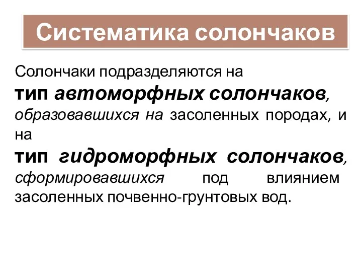 Систематика солончаков Солончаки подразделяются на тип автоморфных солончаков, образовавшихся на