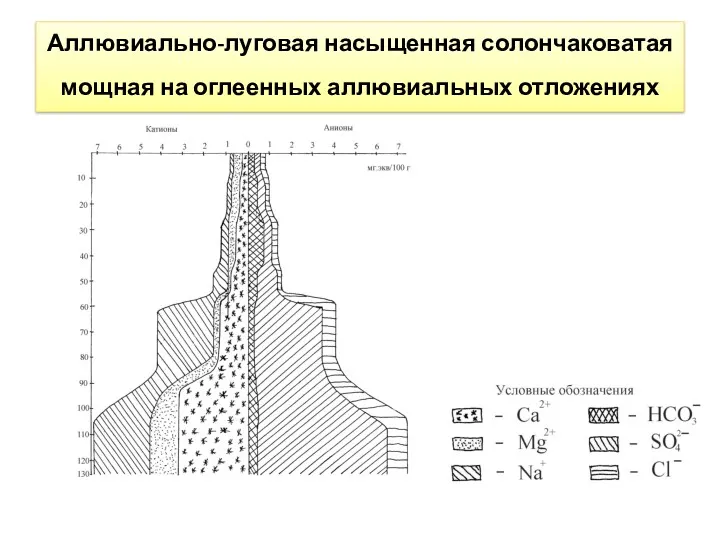 Аллювиально-луговая насыщенная солончаковатая мощная на оглеенных аллювиальных отложениях