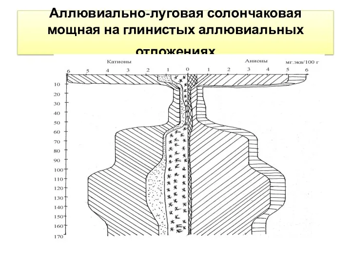 Аллювиально-луговая солончаковая мощная на глинистых аллювиальных отложениях