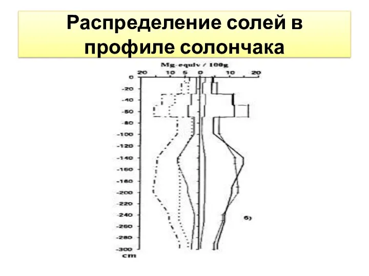 Распределение солей в профиле солончака