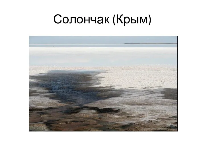 Солончак (Крым)