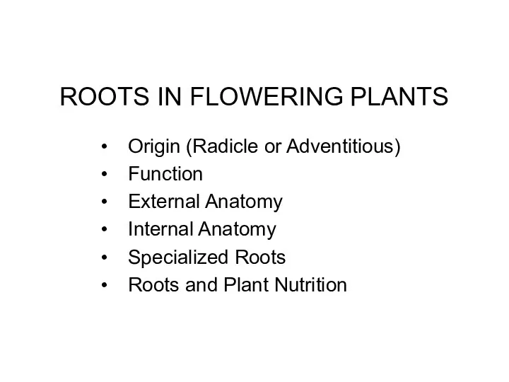 ROOTS IN FLOWERING PLANTS Origin (Radicle or Adventitious) Function External