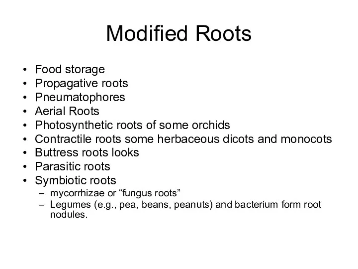 Modified Roots Food storage Propagative roots Pneumatophores Aerial Roots Photosynthetic
