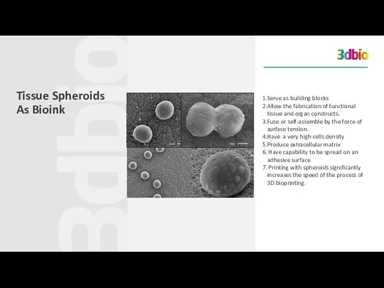 Tissue Spheroids As Bioink Serve as building blocks Allow the