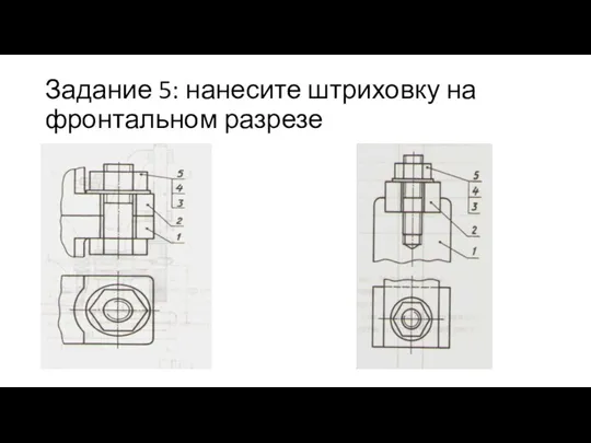 Задание 5: нанесите штриховку на фронтальном разрезе