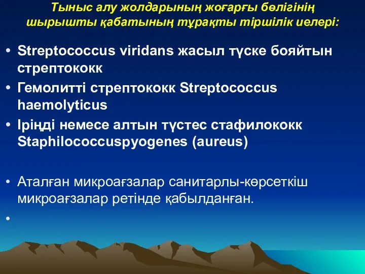 Тыныс алу жолдарының жоғарғы бөлігінің шырышты қабатының тұрақты тіршілік иелері: