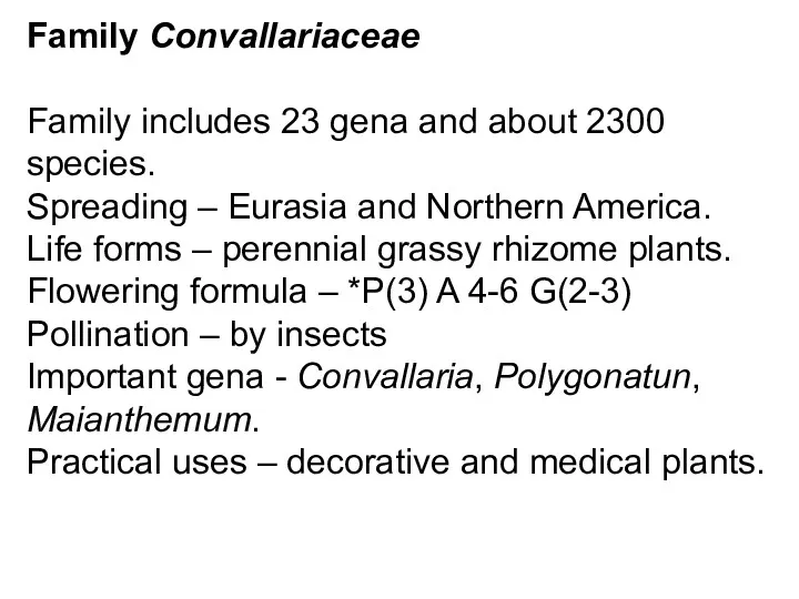 Family Convallariaceae Family includes 23 gena and about 2300 species.