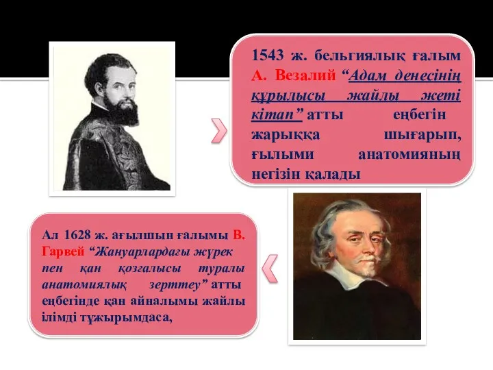 1543 ж. бельгиялық ғалым А. Везалий “Адам денесінің құрылысы жайлы