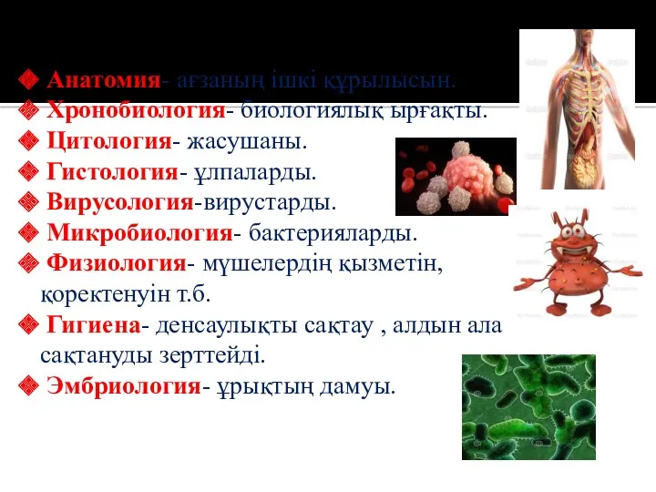 Анатомия- ағзаның ішкі құрылысын. Хронобиология- биологиялық ырғақты. Цитология- жасушаны. Гистология-