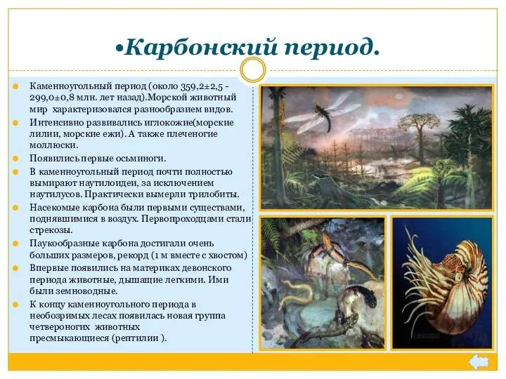 Карбонский период. Каменноугольный период (около 359,2±2,5 - 299,0±0,8 млн. лет