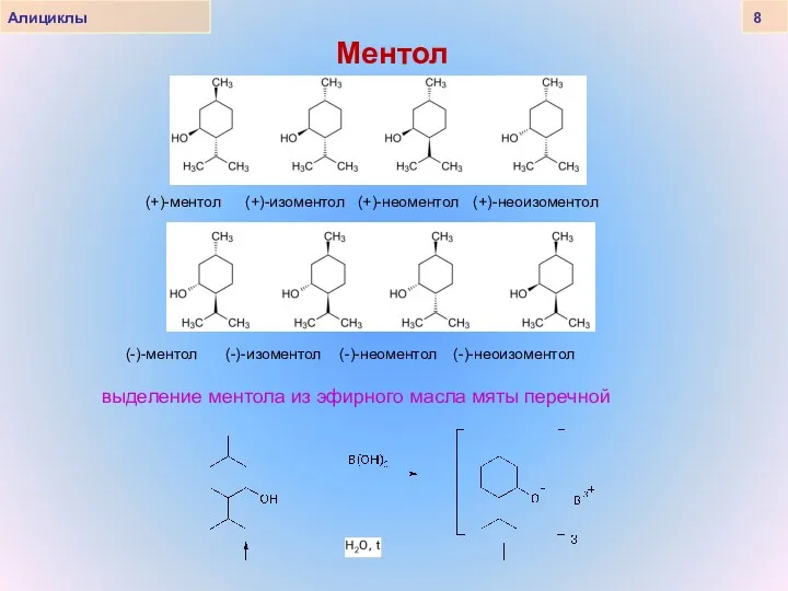 Алициклы 8 Ментол (+)-ментол (+)-изоментол (+)-неоментол (+)-неоизоментол (-)-ментол (-)-изоментол (-)-неоментол