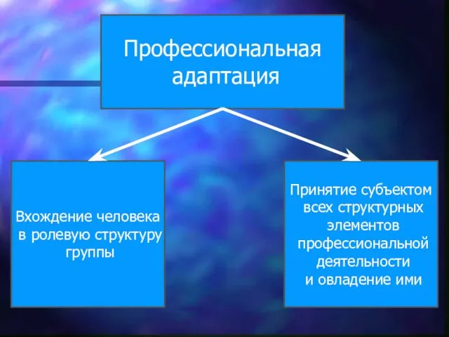 Профессиональная адаптация Вхождение человека в ролевую структуру группы Принятие субъектом