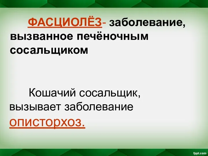 ФАСЦИОЛЁЗ- заболевание, вызванное печёночным сосальщиком Кошачий сосальщик, вызывает заболевание описторхоз.