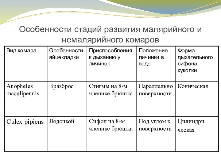 Особенности стадий развития малярийного и немалярийного комаров