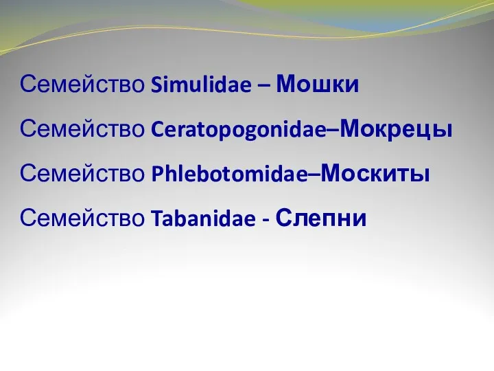 Семейство Simulidae – Мошки Семейство Ceratopogonidae–Мокрецы Семейство Phlebotomidae–Москиты Семейство Tabanidae - Слепни