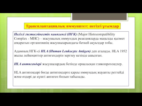 Трансплантациялық иммунитет: негізгі ұғымдар Негізгі гистосәйкестік комплексі (НГК) (Major Histocompatibility