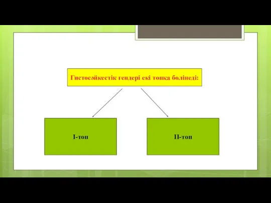 Гистосәйкестік гендері екі топқа бөлінеді: I-топ II-топ