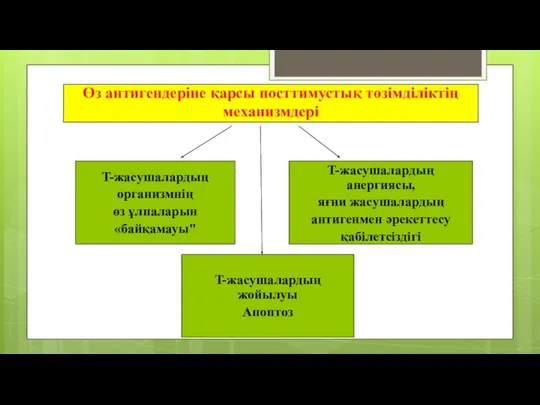 Өз антигендеріне қарсы посттимустық төзімділіктің механизмдері T-жасушалардың организмнің өз ұлпаларын