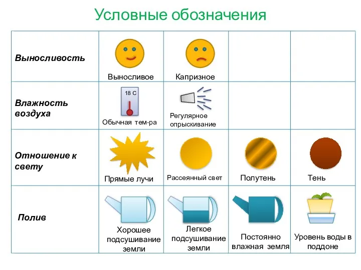 Условные обозначения Влажность воздуха Отношение к свету Выносливость Полив Выносливое