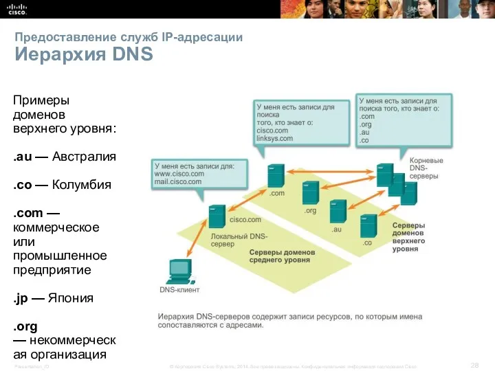 Предоставление служб IP-адресации Иерархия DNS Примеры доменов верхнего уровня: .au — Австралия .co