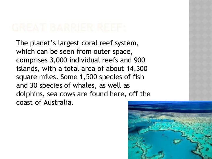 GREAT BARRIER REEF: The planet’s largest coral reef system, which