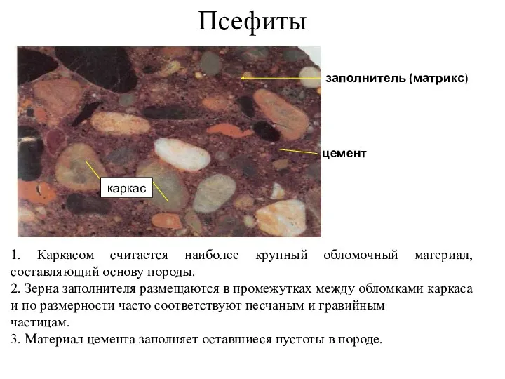 Псефиты цемент заполнитель (матрикс) 1. Каркасом считается наиболее крупный обломочный