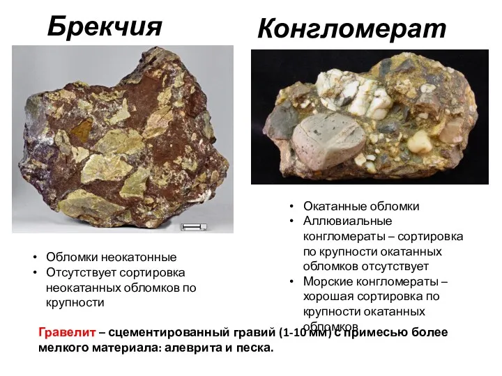 Конгломерат Брекчия Обломки неокатонные Отсутствует сортировка неокатанных обломков по крупности