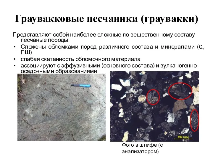 Граувакковые песчаники (граувакки) Представляют собой наиболее сложные по вещественному составу