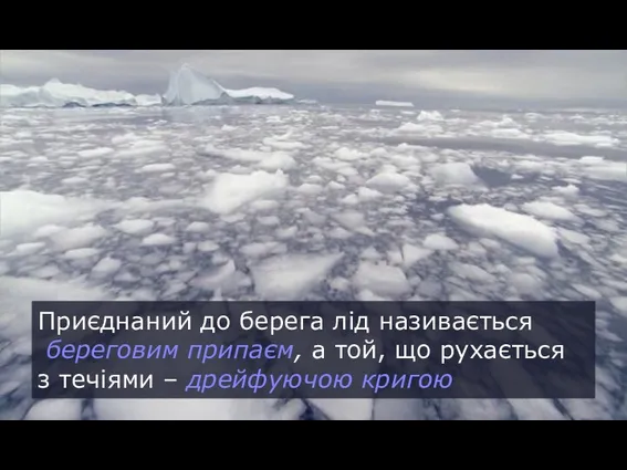 Приєднаний до берега лід називається береговим припаєм, а той, що рухається з течіями – дрейфуючою кригою