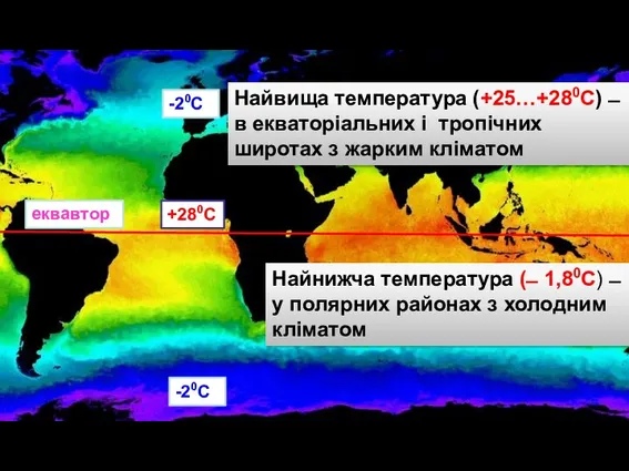еквавтор +280С -20С Найвища температура (+25…+280С) ̶ в екваторіальних і
