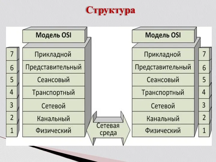 Структура