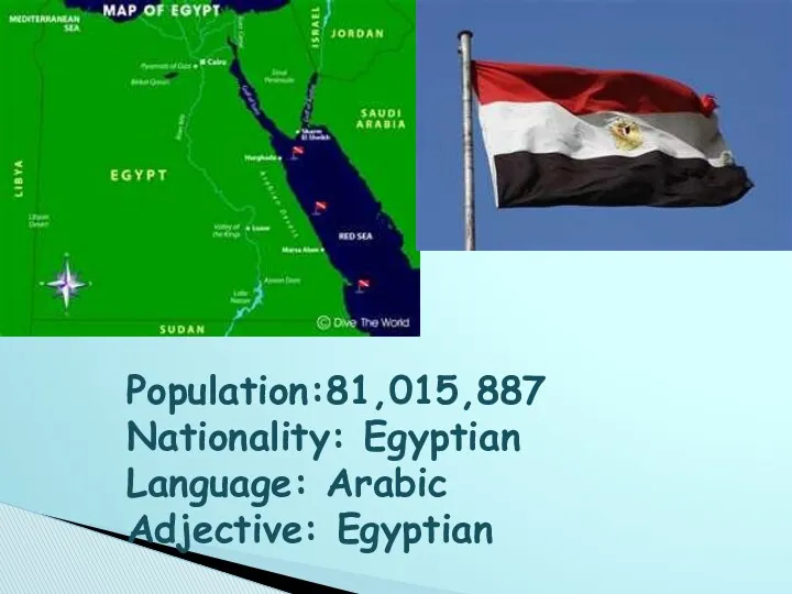 Population:81,015,887 Nationality: Egyptian Language: Arabic Adjective: Egyptian