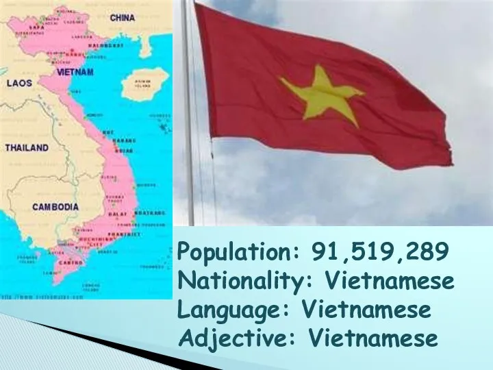 Population: 91,519,289 Nationality: Vietnamese Language: Vietnamese Adjective: Vietnamese