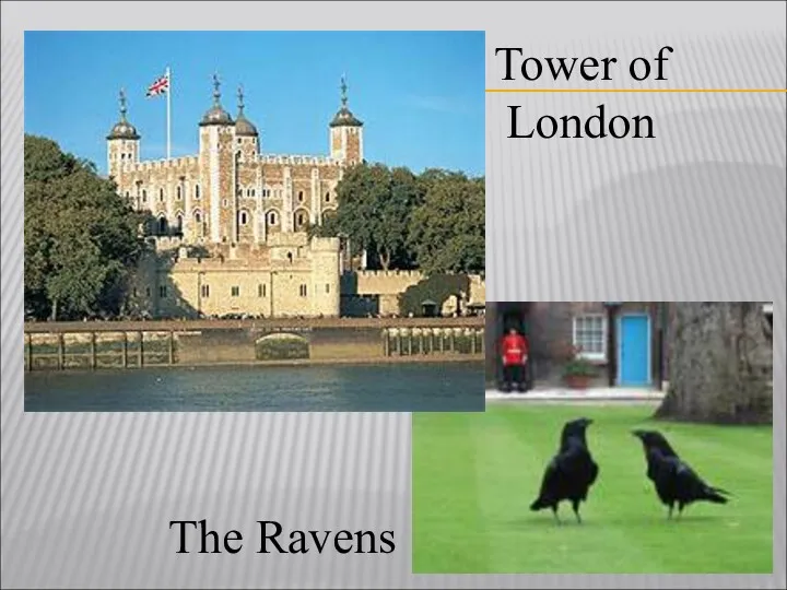 Tower of London The Ravens